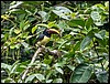 Image013.jpg