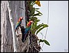 Image015.jpg