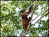 Image021.jpg