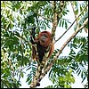 Image022.jpg