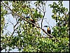 Image023.jpg