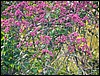 Image024.jpg