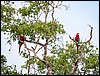 Image025.jpg