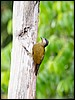 Image026.jpg