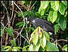 Image027.jpg