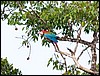 Image028.jpg