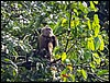 Image030.jpg