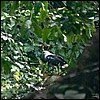 Image031.jpg