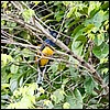 Image033.jpg