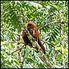 Image036.jpg
