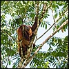 Image038.jpg