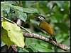 Image045.jpg