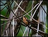 Image046.jpg