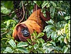 Image050.jpg