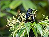 Image056.jpg