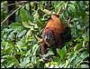 Image059.jpg