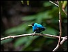 Image060.jpg