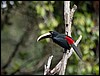 Image066.jpg