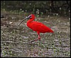 Image068.jpg