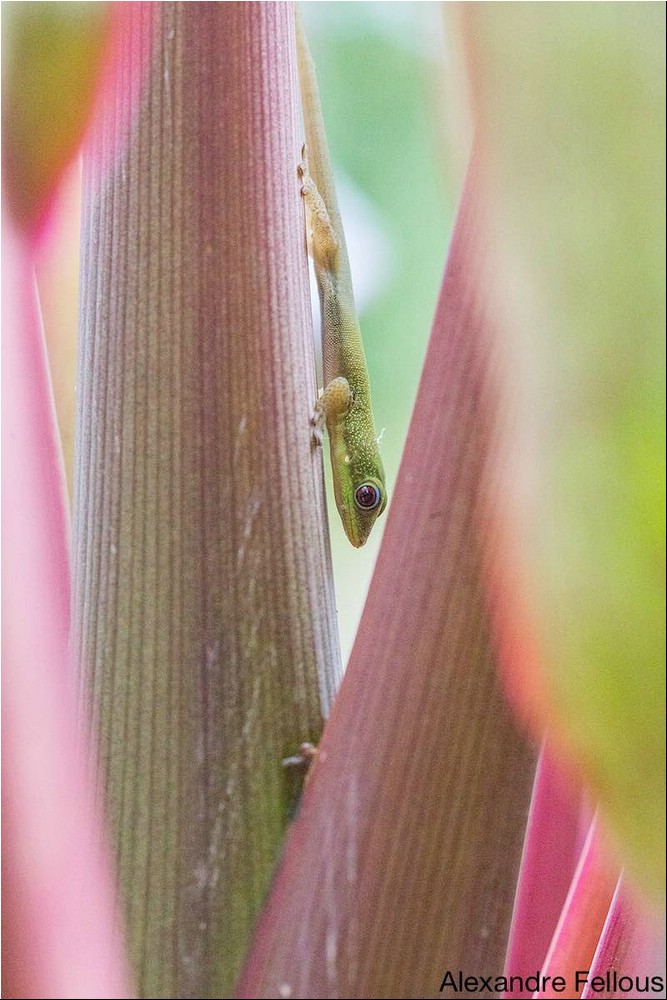 Image016.jpg