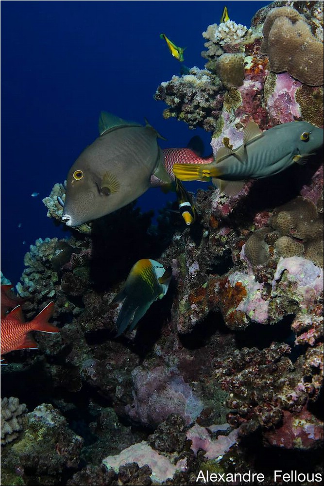 Image027.jpg