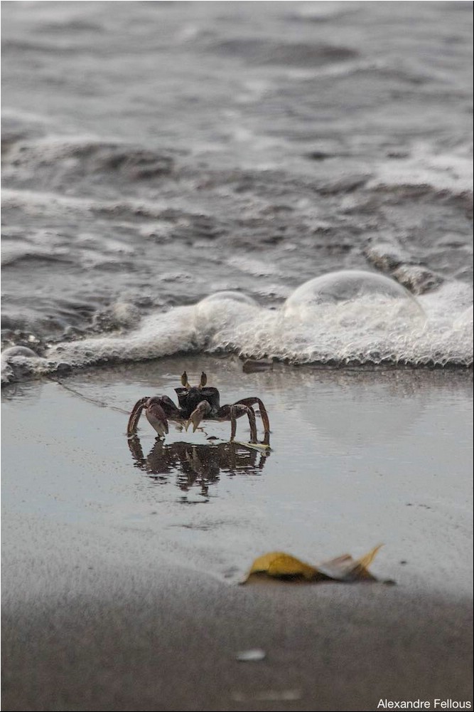 Image138.jpg