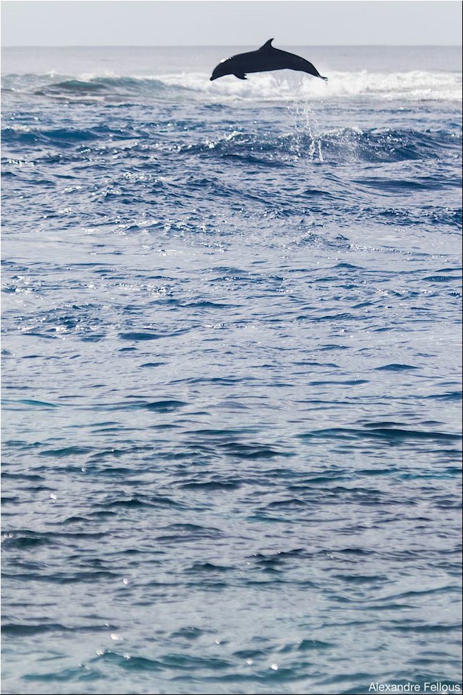Image154.jpg