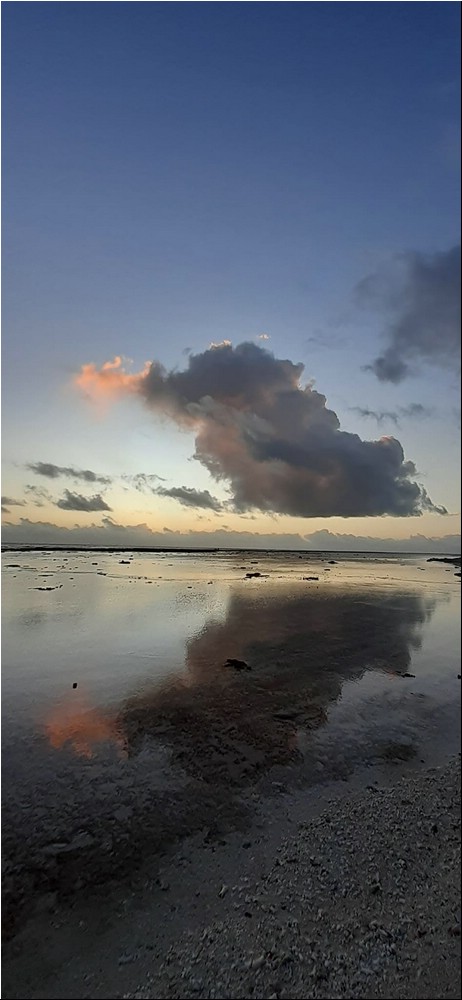 Image222.jpg