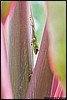 Image016.jpg
