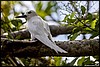 Image035.jpg