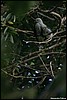 Image076.jpg