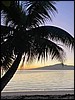 Image192.jpg