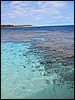 Image228.jpg