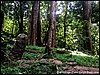 Image290.jpg
