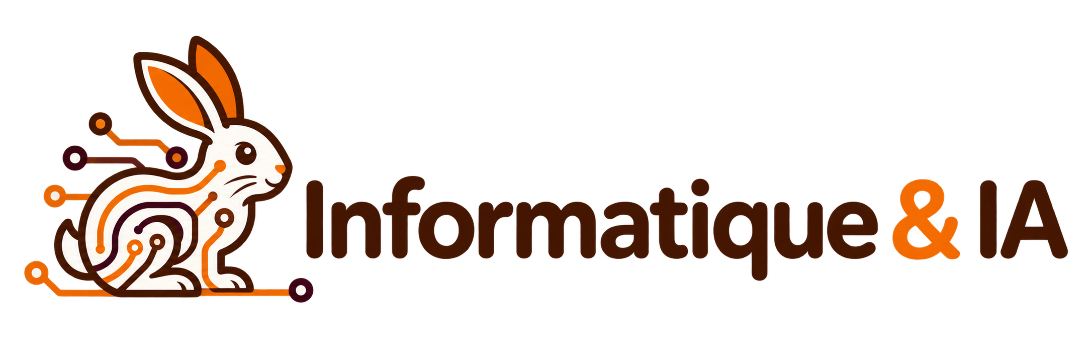 Informatique &amp; IA